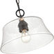 Caily 1 Light 11.5 inch Matte Black Indoor Pendant Ceiling Light
